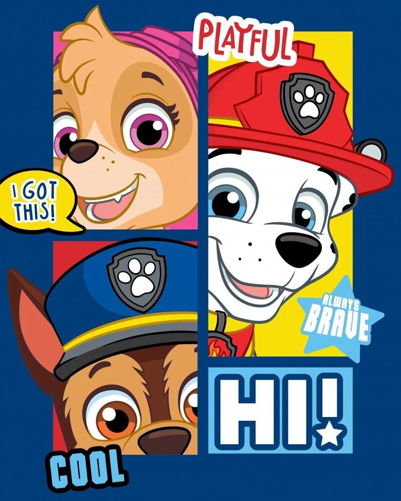 Paw Patrol (Ryhmä Hau) Paw Patrol (Ryhmä Hau) peitto 100x140cm hinta ja tiedot | Päiväpeitot ja huovat | hobbyhall.fi