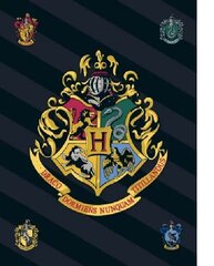 Harry Potter peitto, 100x140 cm hinta ja tiedot | Päiväpeitot ja huovat | hobbyhall.fi