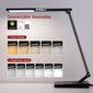 Pöytä-LED-valaisin, harmaa, 12W, Taotronics TT-DL16 hinta ja tiedot | Pöytävalaisimet | hobbyhall.fi