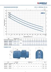 Pedrollo JSWM 2CX -pumppu hinta ja tiedot | Puhdasvesipumput | hobbyhall.fi