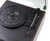RP135W levysoitin 60-luvun Combi Wood hinta ja tiedot | Stereojärjestelmät | hobbyhall.fi