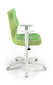 Ergonominen lastentuoli Entelo Good Chair Duo ST29, valkoinen/vihreä hinta ja tiedot | Toimistotuolit | hobbyhall.fi