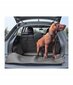 Auton tavaratilan turvaistuimen päällinen koirille Dexter XXL Kegel-Blazusiak 5-3213-244-4010 hinta ja tiedot | Koiran matkatarvikkeet | hobbyhall.fi
