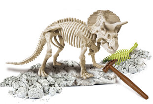 Opetuspeli Clementon Science&Play: Triceratops hinta ja tiedot | Kehittävät lelut | hobbyhall.fi
