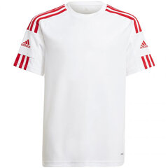 Adidas Squadra 21 Jersey Youth Jr GN5741 hinta ja tiedot | Poikien paidat | hobbyhall.fi