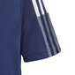 Adidas Tiro 21 Training Jersey Jr GM7573 hinta ja tiedot | Poikien paidat | hobbyhall.fi