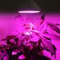 Lamppu kasveille punainen-sininen 200 LED 20W hinta ja tiedot | Sisäpuutarhat ja kasvilamput | hobbyhall.fi