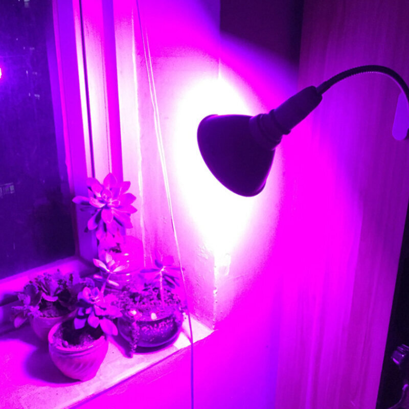 Lamppu kasveille punainen-sininen 200 LED 20W hinta ja tiedot | Sisäpuutarhat ja kasvilamput | hobbyhall.fi