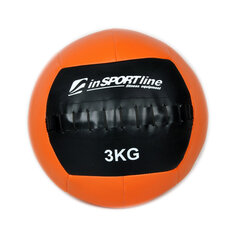 Palloja inSPORTline Walbal 3 kg hinta ja tiedot | Treenipallot | hobbyhall.fi