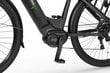 Ecobike D2 City 14 Ah -sähköpyörä, musta hinta ja tiedot | Sähköpyörät | hobbyhall.fi