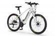 Ecobike SX3 13 Ah Greenway -sähköpyörä, valkoinen hinta ja tiedot | Sähköpyörät | hobbyhall.fi