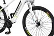 Ecobike SX3 13 Ah Greenway -sähköpyörä, valkoinen hinta ja tiedot | Sähköpyörät | hobbyhall.fi