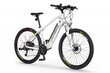 Ecobike SX3 16 Ah Greenway -sähköpyörä, valkoinen hinta ja tiedot | Sähköpyörät | hobbyhall.fi