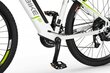 Ecobike SX3 17,5 Ah LG -sähköpyörä, valkoinen hinta ja tiedot | Sähköpyörät | hobbyhall.fi