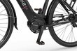 Sähköpyörä Ecobike LX 19" 14 Ah ah LG, musta hinta ja tiedot | Sähköpyörät | hobbyhall.fi