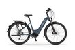 Ecobike D1 Trekking 14 Ah LG -sähköpyörä, sininen hinta ja tiedot | Sähköpyörät | hobbyhall.fi