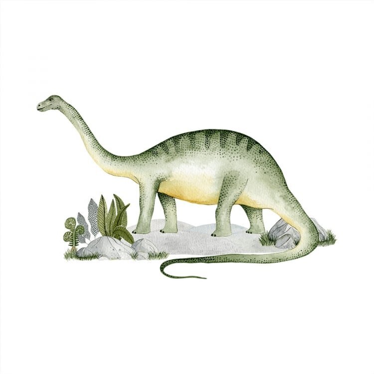 Seinätarra dinosaurus 80x53 hinta ja tiedot | Sisustustarrat | hobbyhall.fi