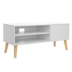 TV-pöytä Songmics 110 cm, valkoinen/ruskea hinta ja tiedot | Songmics Huonekalut ja sisustus | hobbyhall.fi
