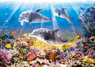 Palapeli Castorland Dolphins Underwater, 500 palaa hinta ja tiedot | Palapelit | hobbyhall.fi