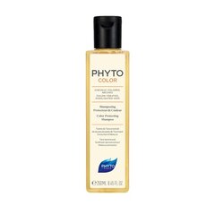 Shampoo värjätyille, raidoitetuille hiuksille, Phyto Color 250 ml hinta ja tiedot | Phyto Hajuvedet ja kosmetiikka | hobbyhall.fi
