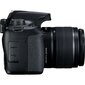 Canon EOS 4000D 18-55 III, valkoinen laatikko hinta ja tiedot | Kamerat | hobbyhall.fi