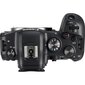 Canon EOS R6 + RF 800mm f/11 IS STM hinta ja tiedot | Kamerat | hobbyhall.fi