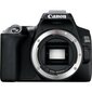 Canon EOS 250D + EF-S 18-55mm III + EF 50mm STM hinta ja tiedot | Kamerat | hobbyhall.fi