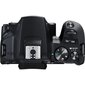 Canon EOS 250D + EF-S 18-55mm III + EF 50mm STM hinta ja tiedot | Kamerat | hobbyhall.fi