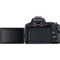 Canon EOS 250D + EF-S 18-55mm III + EF 50mm STM hinta ja tiedot | Kamerat | hobbyhall.fi