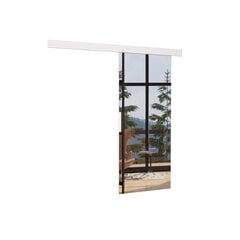 Niche ovi peilillä ADRK Furniture Tess 96, valkoinen hinta ja tiedot | Kaapit | hobbyhall.fi