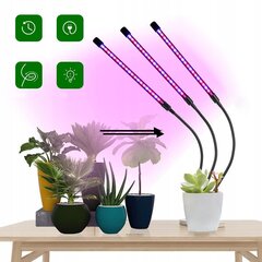 LED-lamppu kasveille - kasvien kasvattamiseen 3 kpl. hinta ja tiedot | Sisäpuutarhat ja kasvilamput | hobbyhall.fi