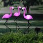 Puutarhassa lamput Kanssa aurinko paneeli LED - flamingo hinta ja tiedot | Puutarha- ja ulkovalot | hobbyhall.fi