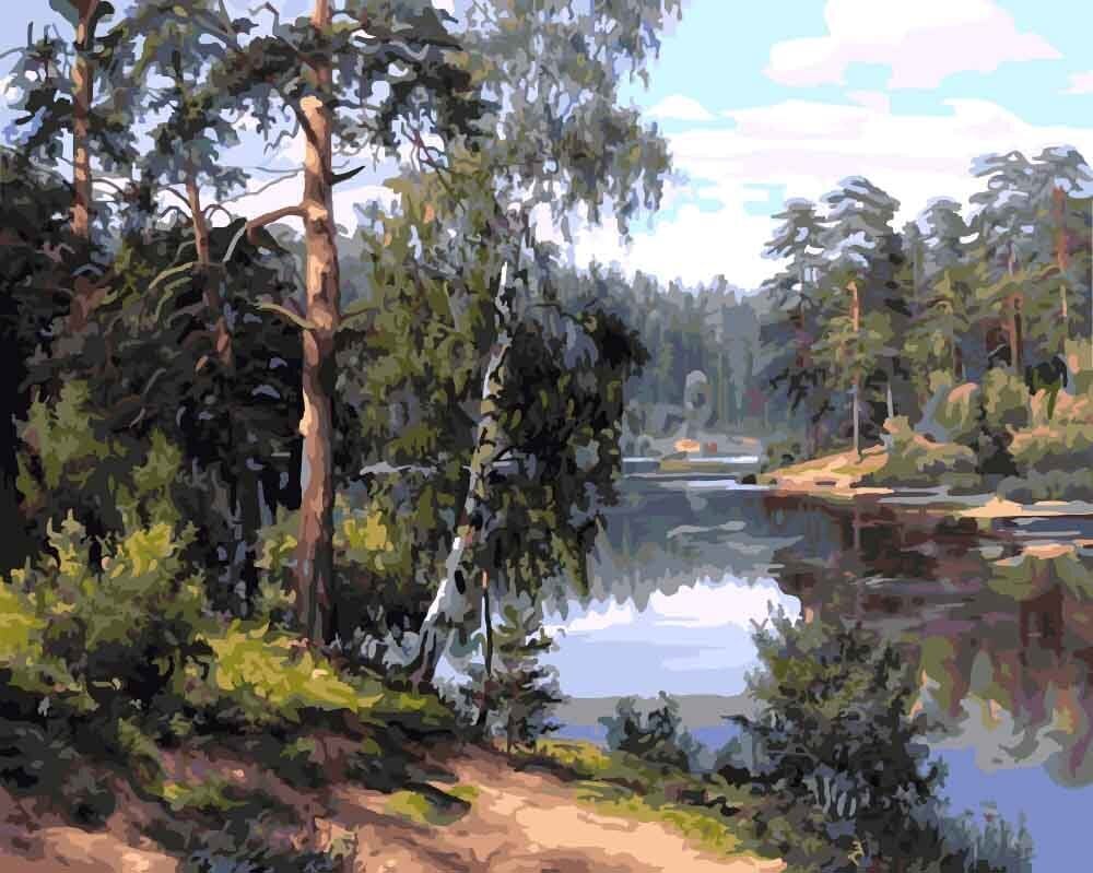 Maalaus numeroiden mukaan Metsäjärvellä 40x50 hinta ja tiedot | Maalaa numeroiden mukaan | hobbyhall.fi