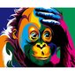 Maalaus numeroiden mukaan Värillinen apina 40x50 hinta ja tiedot | Maalaa numeroiden mukaan | hobbyhall.fi