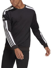 Sq21 sw alkuun adidas performance miehet black gt6638 hinta ja tiedot | Miesten urheiluvaatteet | hobbyhall.fi