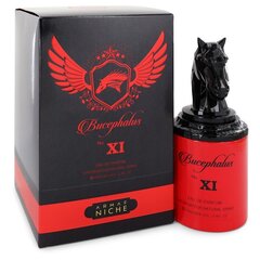 Niche Bucephalus No. XI by Armaf miesten hajuvesi, 90 ml hinta ja tiedot | Miesten hajuvedet | hobbyhall.fi