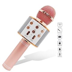 Mikrofoni äänenvaihtotehosteilla hinta ja tiedot | MalPlay Lapset | hobbyhall.fi