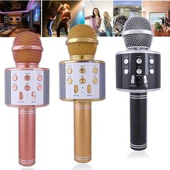 Mikrofoni äänenvaihtotehosteilla hinta ja tiedot | MalPlay Lapset | hobbyhall.fi