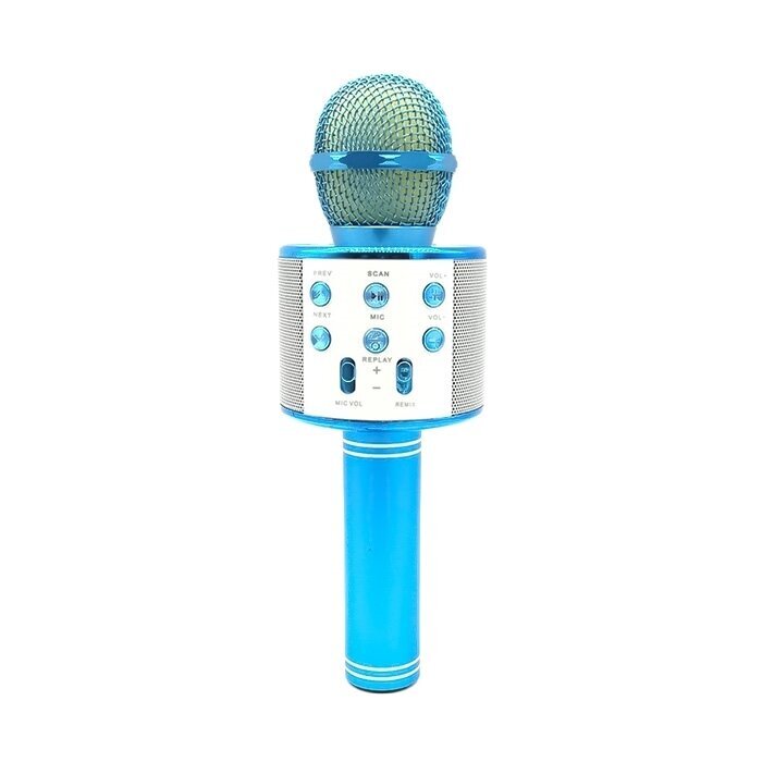 Mikrofoni äänenvaihtotehosteilla hinta ja tiedot | Kehittävät lelut | hobbyhall.fi