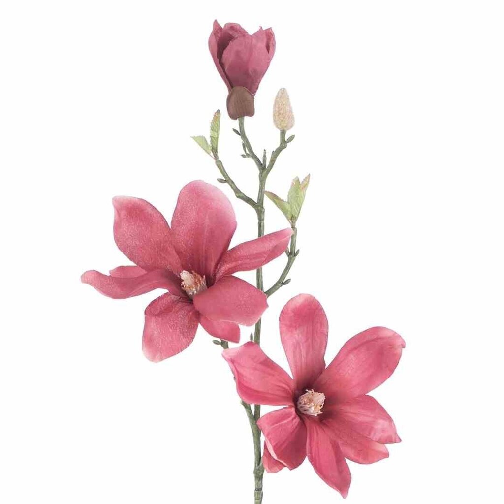 Magnolia tekokukka, 10 kpl hinta ja tiedot | Sisustustuotteet | hobbyhall.fi