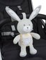 Musiikkilelu Chicco Bunny 151509 hinta ja tiedot | Vauvan lelut | hobbyhall.fi