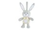 Musiikkilelu Chicco Bunny 151509 hinta ja tiedot | Vauvan lelut | hobbyhall.fi