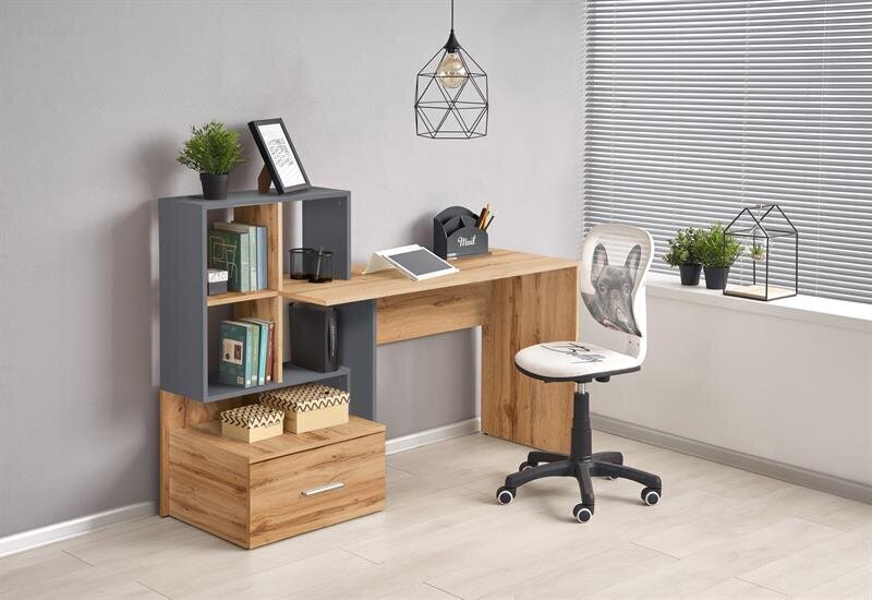Työpöytä Halmar Grosso, ruskea/harmaa hinta ja tiedot | Tietokonepöydät ja työpöydät | hobbyhall.fi