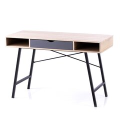 Työpöytä Kayl 120x48x76 cm, tammi hinta ja tiedot | Tietokonepöydät ja työpöydät | hobbyhall.fi