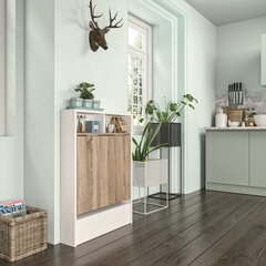 Kalune Design 793, valkoinen/ruskea Säädettävä kaappipöytä hinta ja tiedot | Tietokonepöydät ja työpöydät | hobbyhall.fi
