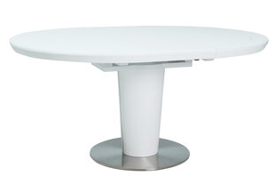 Jatkettava ruokapöytä Signal Meble Orbit 120 cm, valkoinen hinta ja tiedot | Ruokapöydät | hobbyhall.fi