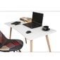 Työpöytä Kalune Design 869 (II), valkoinen / vaaleanruskea. hinta ja tiedot | Tietokonepöydät ja työpöydät | hobbyhall.fi