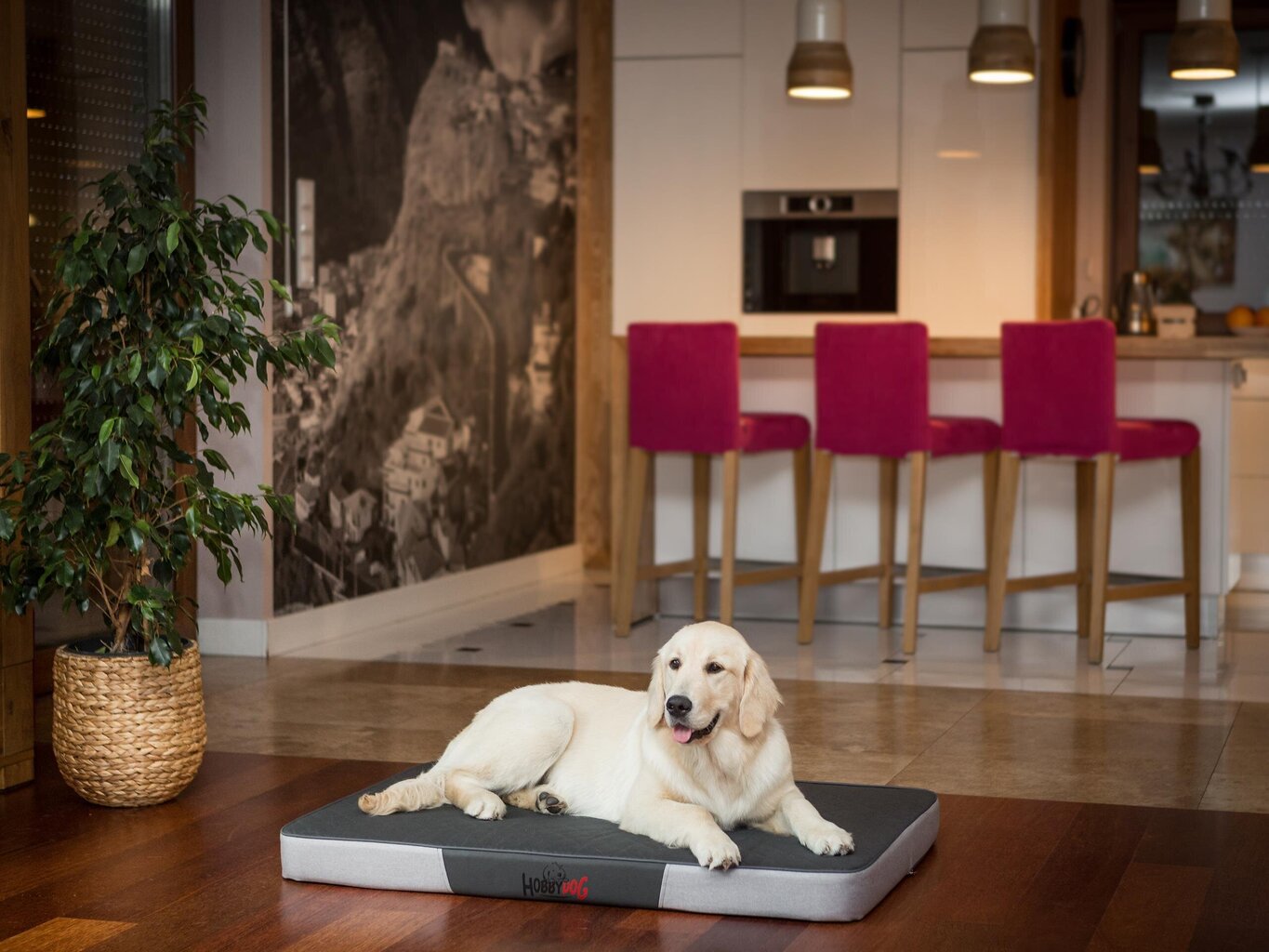 Hobbydog patja Premium Graphite/Light Grey Ekolen XL, 120x80 cm. hinta ja tiedot | Pedit ja pesät | hobbyhall.fi