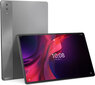 Lenovo Tab Extreme WiFi 12/256GB ZACF0005SE hinta ja tiedot | Tabletit | hobbyhall.fi