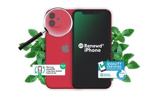 Renewd® iPhone 11 128GB Red hinta ja tiedot | Renewd Puhelimet, älylaitteet ja kamerat | hobbyhall.fi